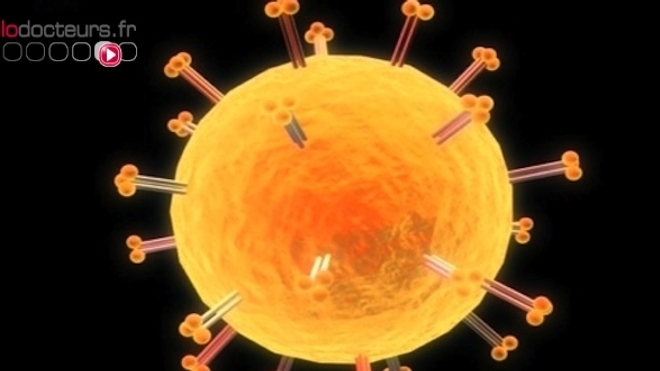 VIH : des anticorps pour éviter l’infection ?