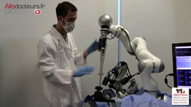 Un cochon opéré par un robot