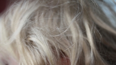 Marée noire : appel aux dons … de cheveux