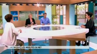 Insolites du Net : la fourmi balle de fusil qui fait douiller