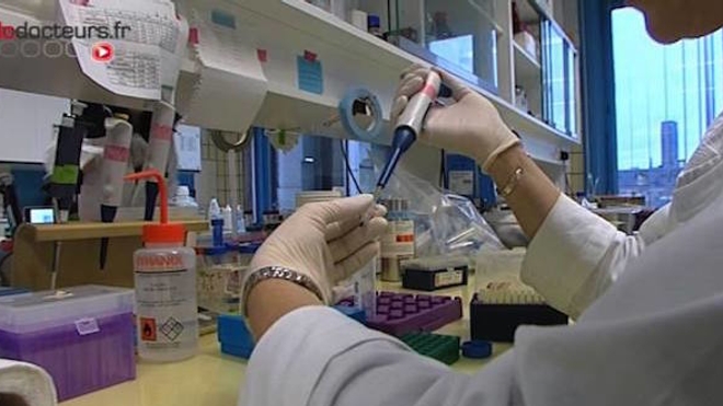 Tester des médicaments sur des portions de vessie recréées en laboratoire (Image d'illustration)