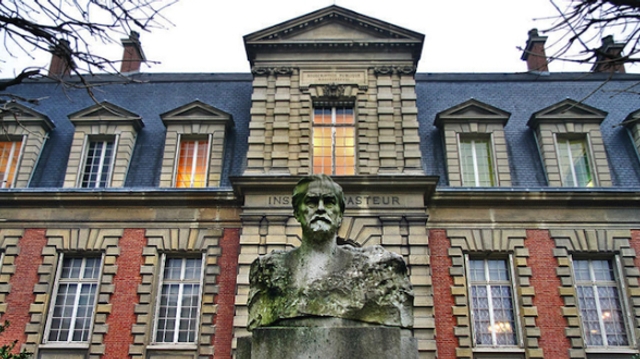 Covid : les premières données de l’Institut Pasteur sur le variant Deltacron