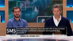 Les légumineuses peuvent-elles être des alliées contre le grignotage ?