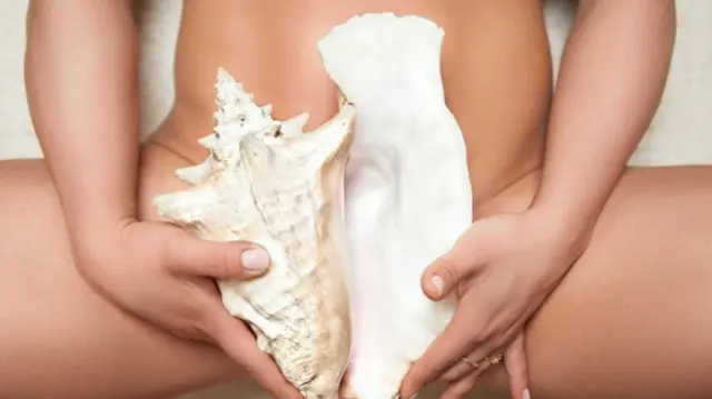 Operer Les Malformations De La Verge Allodocteurs