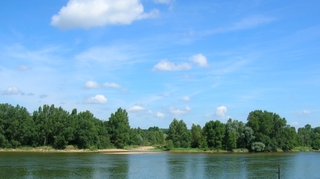 Cyanobactéries toxiques : la pêche interdite dans la Loire