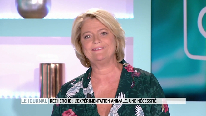 Entretien avec le Pr Marc Peschanski, directeur scientifique de l'I-Stem