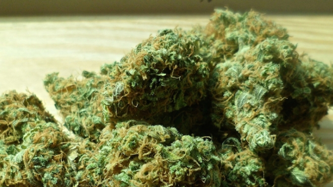 Le Canada légalise le cannabis récréatif
