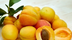 Amandes d’abricots : attention cyanure !