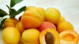 Amandes d’abricots : attention cyanure !