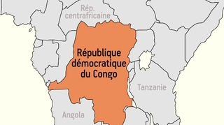 Quinze personnes tuées par une "fièvre" en République démocratique du Congo