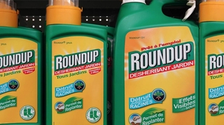 Carton rouge : quand Bricomarché incite à l’achat de Roundup