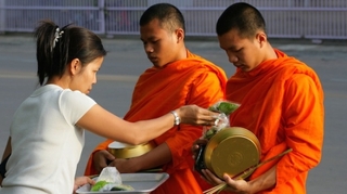 Epidémie d'obésité chez les moines thaïlandais