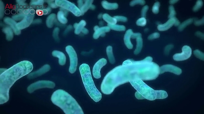 La greffe fécale consiste à injecter un microbiote sain dans celui d'un patient malade