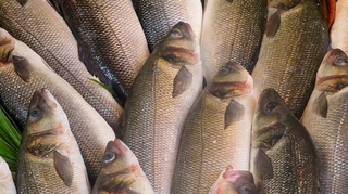 Selon l'UFC-Que Choisir, trop de poissons issus de la surpêche en supermarché