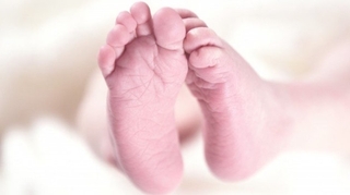 Naissance d’un bébé doté de l'ADN de trois parents différents