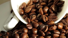 Alzheimer : le café torréfié aiderait-il à prévenir la maladie ?