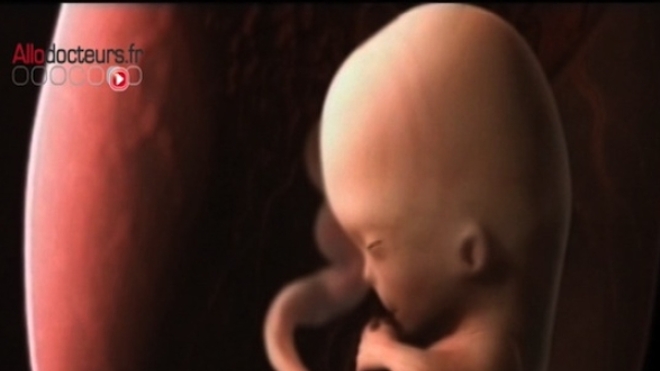 Retard de croissance intra utérin : l’expression des gènes du foetus serait impliquée