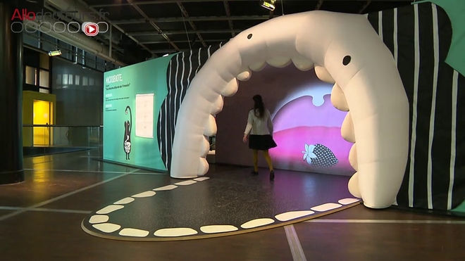 À la découverte du microbiote intestinal !