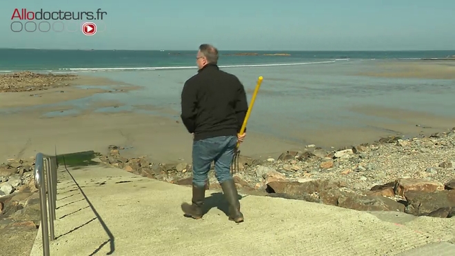 Des vers marins pour améliorer les greffes d'organes