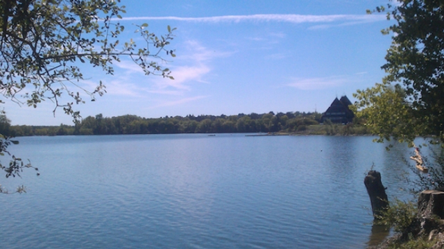 Cyanobactéries : baignade interdite dans un lac d’Angers