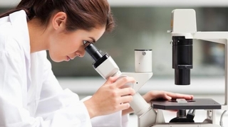 Cas de Creutzfeldt-Jakob : les labos suspendent leurs travaux sur les prions