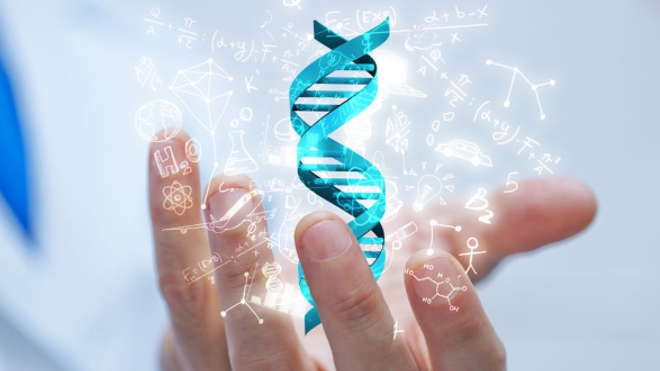 Méfiez-vous des tests ADN vendus sur internet !