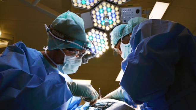 Les greffes d'organes à nouveau à la hausse en 2019