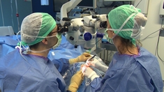 Cancer de l'oeil : quels traitements ?