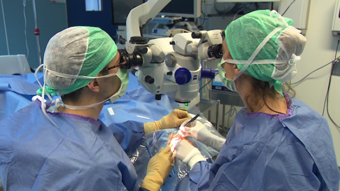 Can Car Oil Cause Cancer at Larry Solis blog