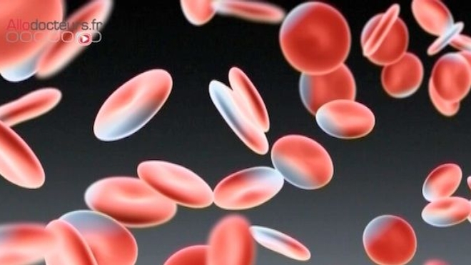 Hémophilie : difficultés d'approvisionnement de médicaments dérivés du sang