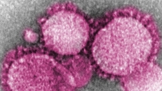 Coronavirus : les autorités chinoises cibles de nombreuses critiques