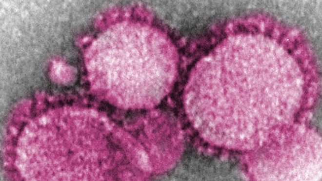Coronavirus : plus de 40 000 cas confirmés en France