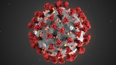 Coronavirus : quels sont les différents scénarios pour les semaines à venir ?