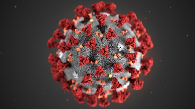 INFOGRAPHIE - Coronavirus : retour sur la propagation de l'épidémie