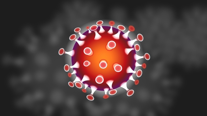 Coronavirus : entre inquiétude et spéculations