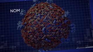 La carte d'identité du coronavirus