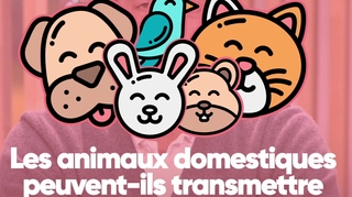 Les animaux domestiques peuvent-ils transmettre le Covid-19 ?