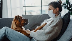 Covid-19 : les animaux représentent-ils un risque pour les humains ?