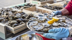 Les coquillages du bassin d'Arcachon interdits de consommation