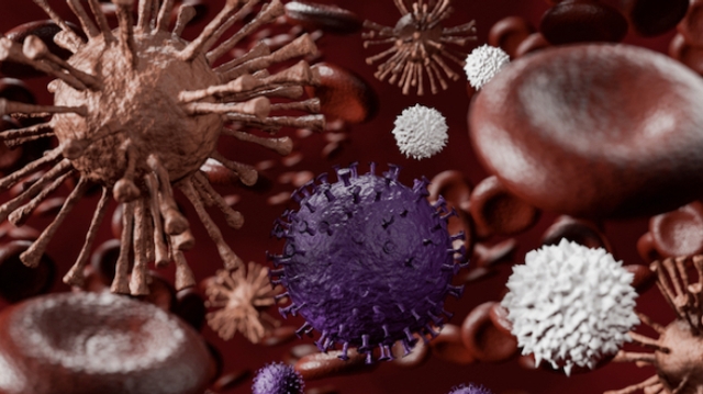 Covid-19 : existe-t-il une immunité croisée entre les différents coronavirus ?