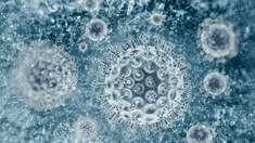 Le prix Nobel de médecine attribué aux découvreurs du virus de l’hépatite C
