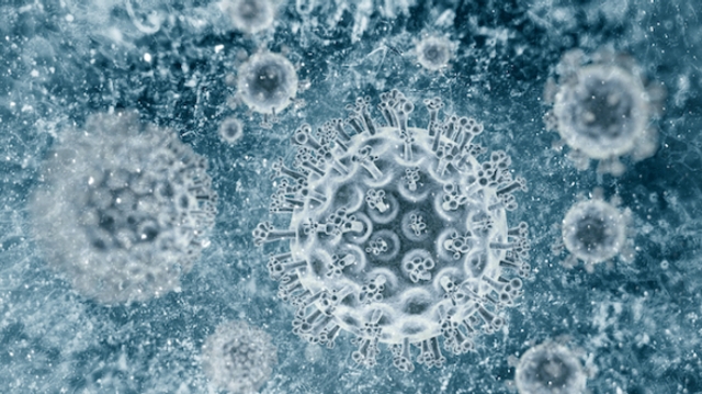 Le prix Nobel de médecine attribué aux découvreurs du virus de l’hépatite C