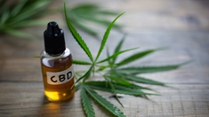 Cannabis thérapeutique : contre la Covid aussi ?