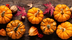 Courges amères ou comestibles, ne vous y trompez pas !