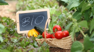 Les consommateurs d’aliments bio moins à risque de diabète ?