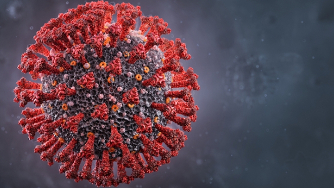 Mutation du virus : les épidémiologistes s’inquiètent