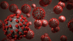 Covid-19 : un premier cas de réinfection grave par le variant sud-africain en France