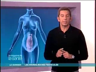 Michel Cymès vous détaille en image le mécanisme de positionnement des testicules