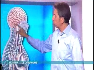 Les mécanismes du système nerveux en images
