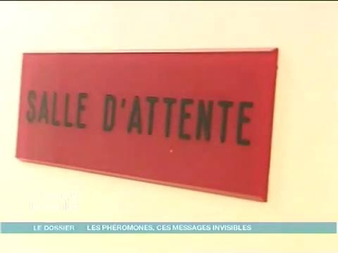 Le Dr Jacques Vergriete, sexologue, nous explique le fonctionnement des phéromones